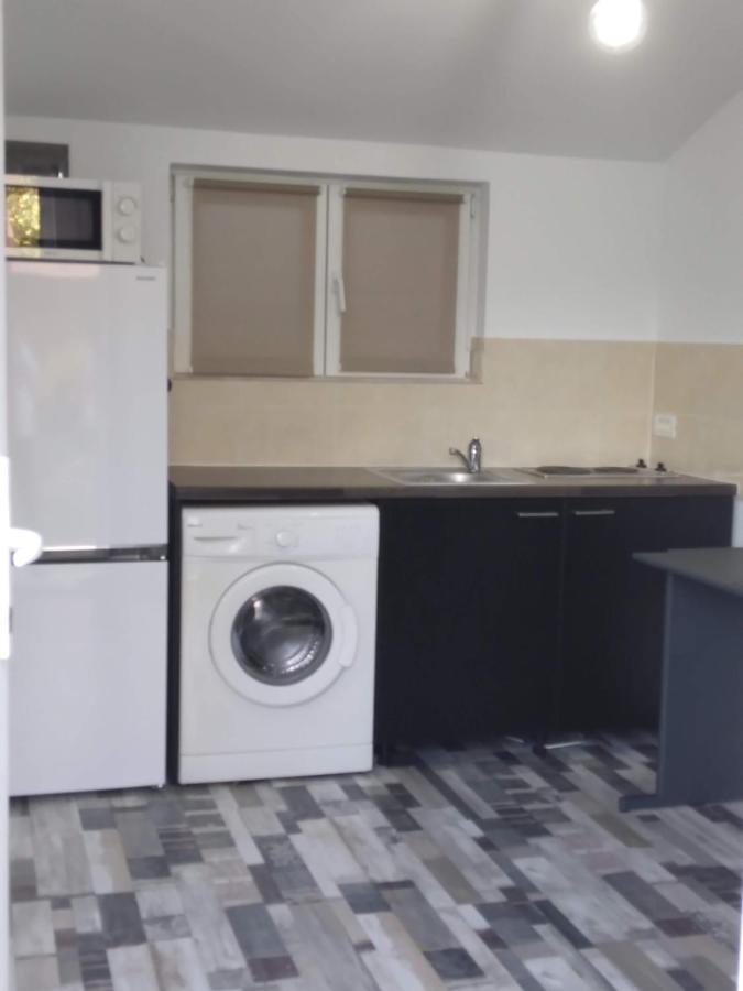 Studio Unique Apartment Timisoara Exterior photo