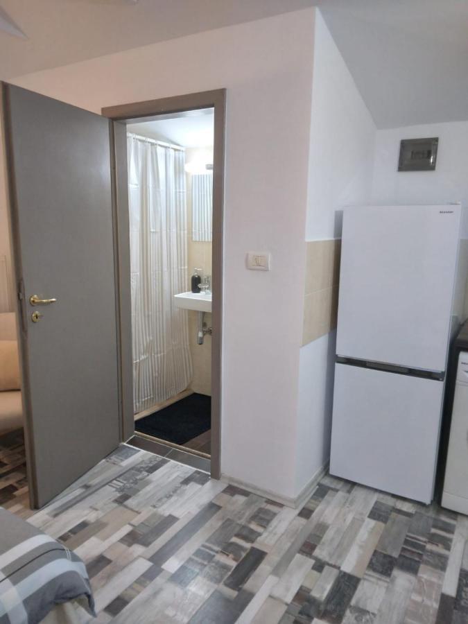 Studio Unique Apartment Timisoara Exterior photo