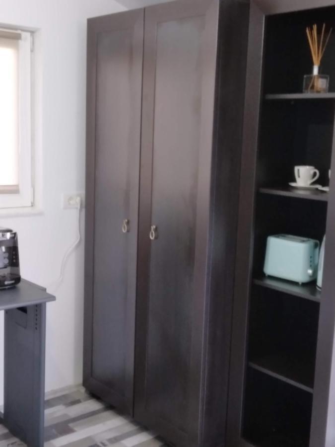 Studio Unique Apartment Timisoara Exterior photo