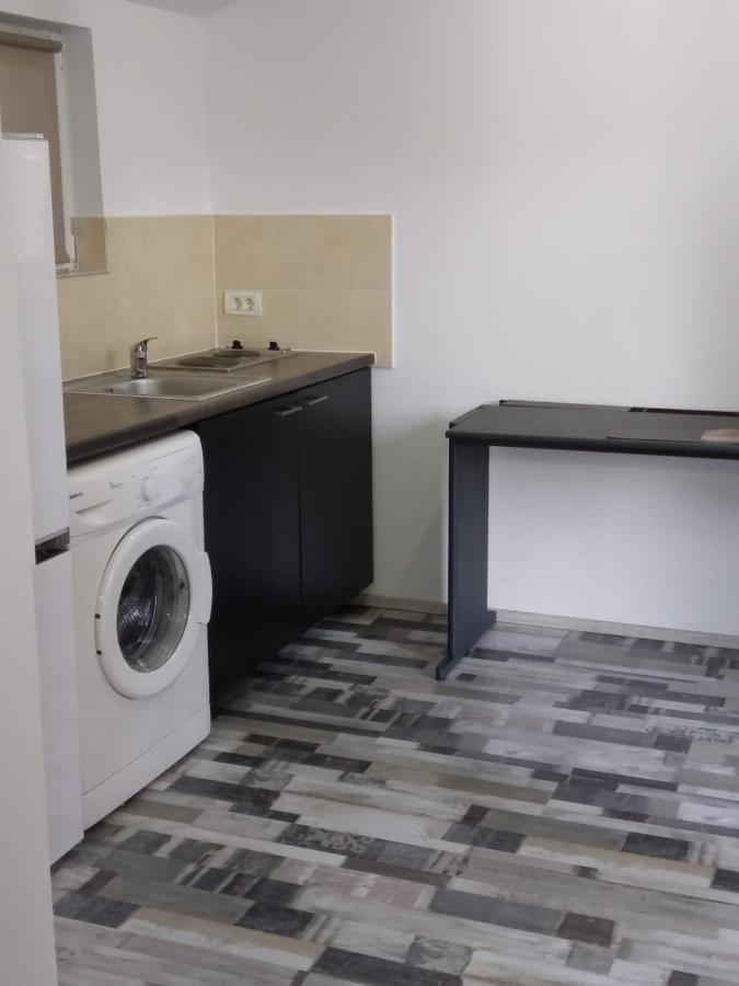 Studio Unique Apartment Timisoara Exterior photo